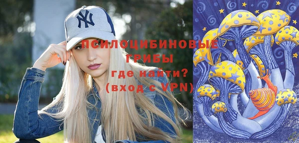 соль ск Липки