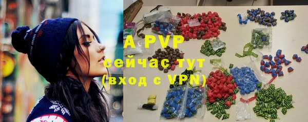 мдпв Рославль