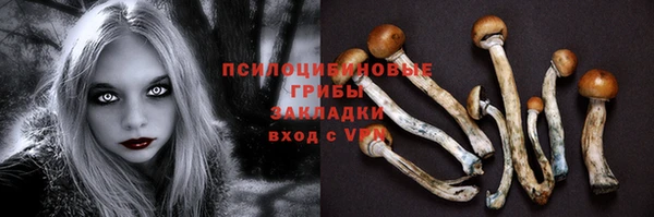 амфетамин Ладушкин