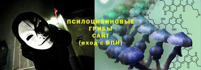 Галлюциногенные грибы Psilocybine cubensis  продажа наркотиков  гидра как зайти  Бикин 